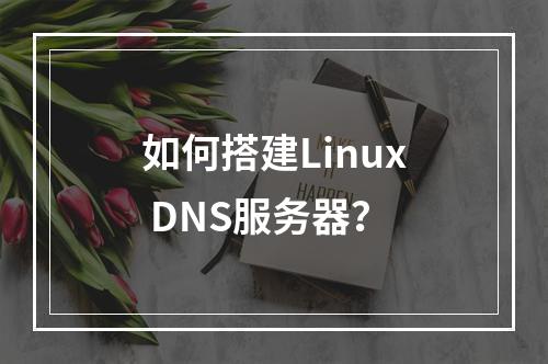 如何搭建Linux DNS服务器?