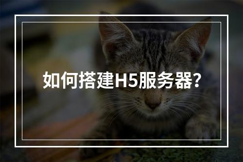 如何搭建H5服务器?