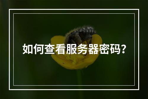 如何查看服务器密码?