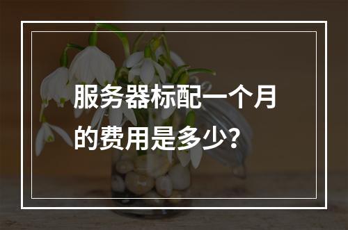 服务器标配一个月的费用是多少?