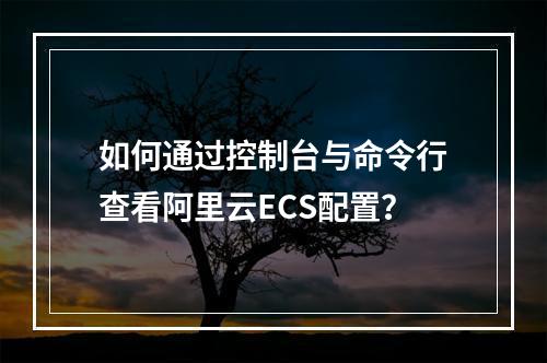 如何通过控制台与命令行查看阿里云ECS配置？