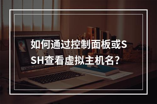 如何通过控制面板或SSH查看虚拟主机名？