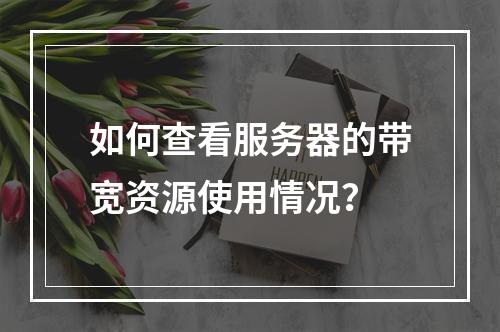如何查看服务器的带宽资源使用情况?