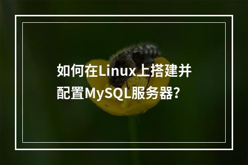 如何在Linux上搭建并配置MySQL服务器?