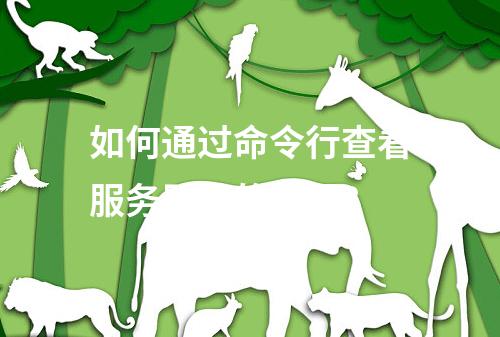 如何通过命令行查看服务器上的进程?