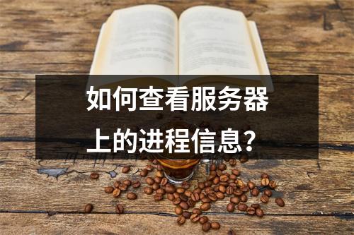 如何查看服务器上的进程信息?