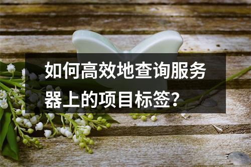 如何高效地查询服务器上的项目标签?