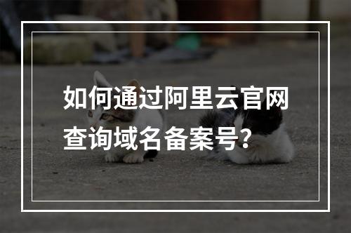 如何通过阿里云官网查询域名备案号？