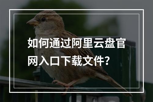 如何通过阿里云盘官网入口下载文件？
