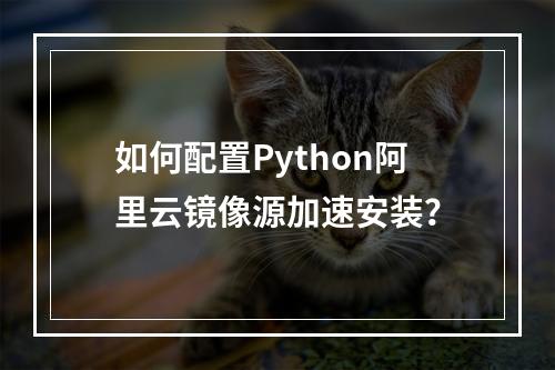 如何配置Python阿里云镜像源加速安装？