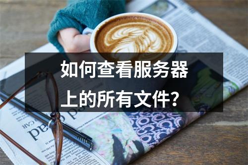 如何查看服务器上的所有文件?