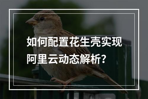如何配置花生壳实现阿里云动态解析？