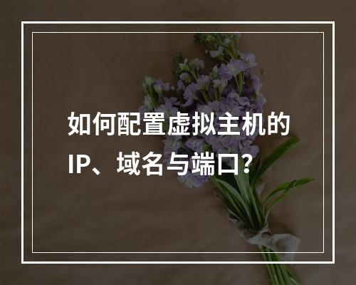 如何配置虚拟主机的IP、域名与端口？