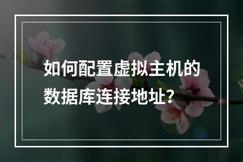 如何配置虚拟主机的数据库连接地址？