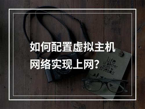如何配置虚拟主机网络实现上网？