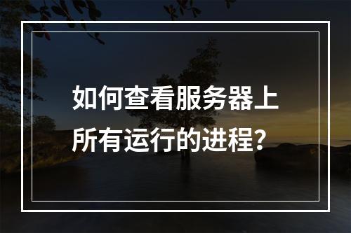 如何查看服务器上所有运行的进程?