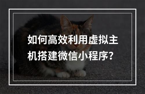 如何高效利用虚拟主机搭建微信小程序？