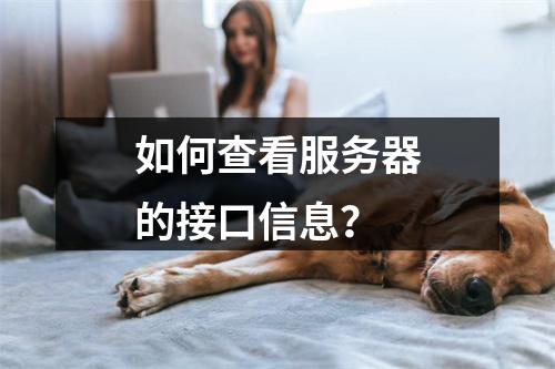 如何查看服务器的接口信息?