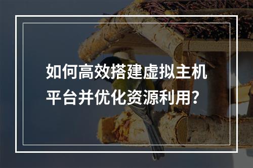 如何高效搭建虚拟主机平台并优化资源利用？