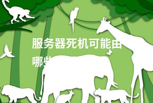 服务器死机可能由哪些原因造成?