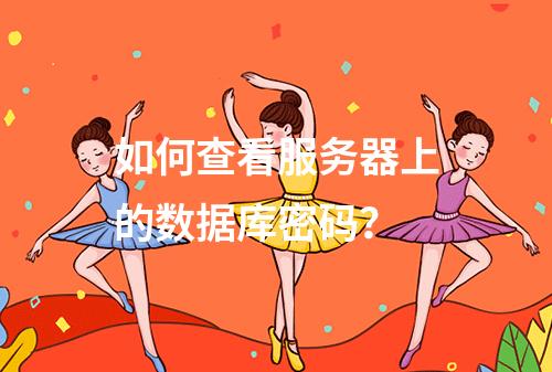 如何查看服务器上的数据库密码?