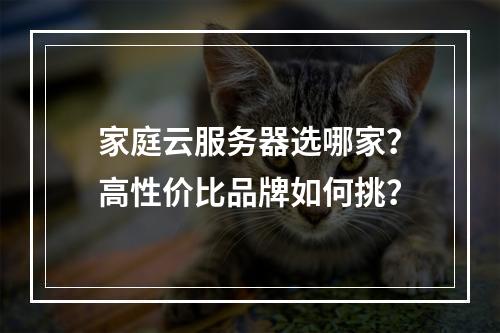 家庭云服务器选哪家？高性价比品牌如何挑？