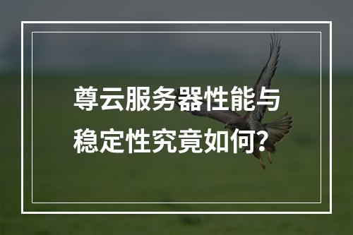 尊云服务器性能与稳定性究竟如何？