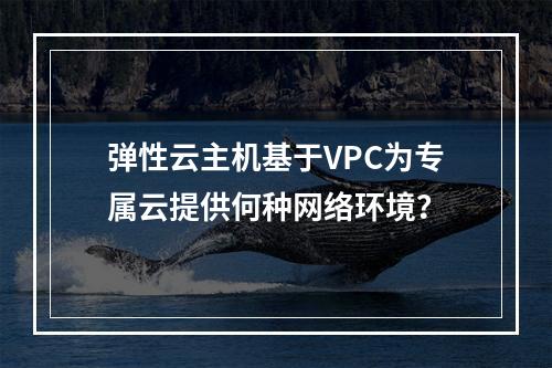 弹性云主机基于VPC为专属云提供何种网络环境？