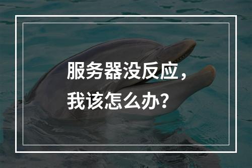 服务器没反应,我该怎么办?