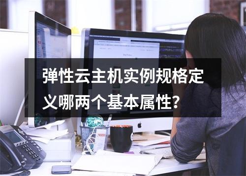 弹性云主机实例规格定义哪两个基本属性？