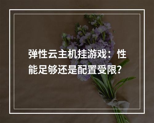 弹性云主机挂游戏：性能足够还是配置受限？