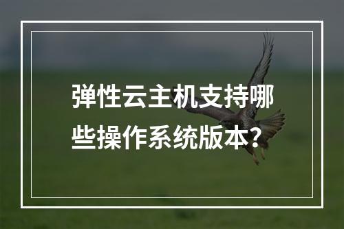 弹性云主机支持哪些操作系统版本？