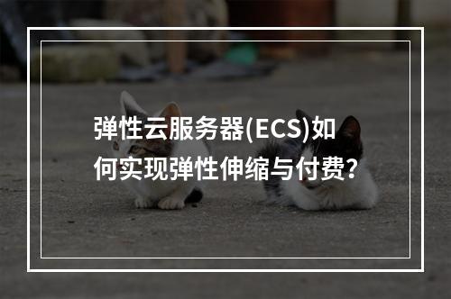 弹性云服务器(ECS)如何实现弹性伸缩与付费？