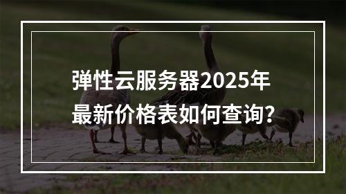 弹性云服务器2025年最新价格表如何查询？