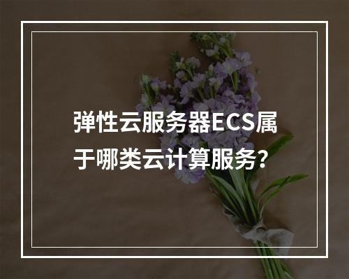 弹性云服务器ECS属于哪类云计算服务？