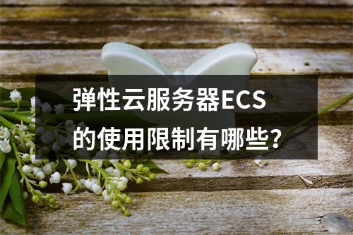 弹性云服务器ECS的使用限制有哪些？