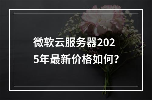 微软云服务器2025年最新价格如何？