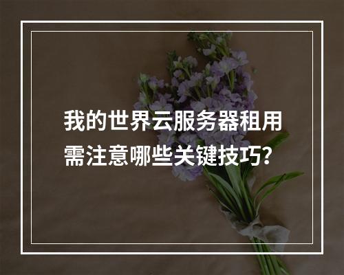 我的世界云服务器租用需注意哪些关键技巧？