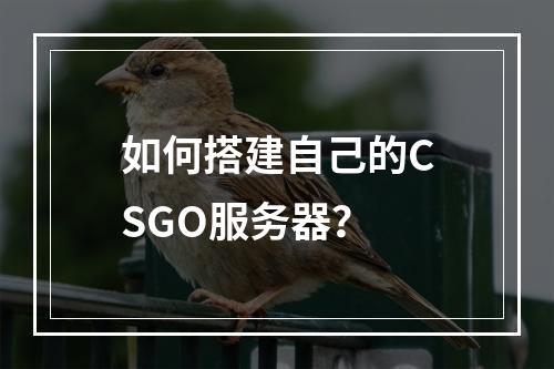 如何搭建自己的CSGO服务器?