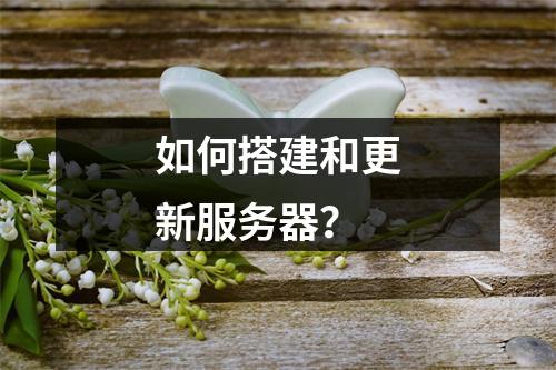 如何搭建和更新服务器?