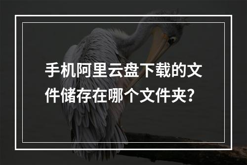 手机阿里云盘下载的文件储存在哪个文件夹？
