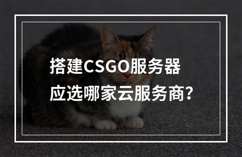 搭建CSGO服务器应选哪家云服务商？