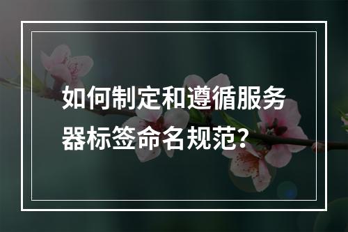 如何制定和遵循服务器标签命名规范?