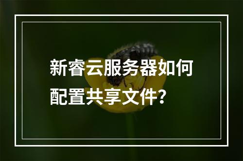 新睿云服务器如何配置共享文件？