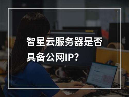 智星云服务器是否具备公网IP？