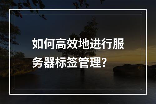 如何高效地进行服务器标签管理?