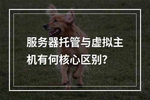 服务器托管与虚拟主机有何核心区别？