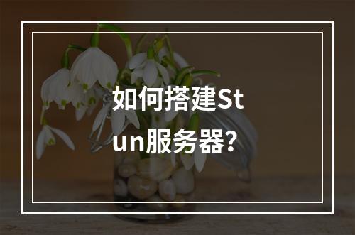 如何搭建Stun服务器?