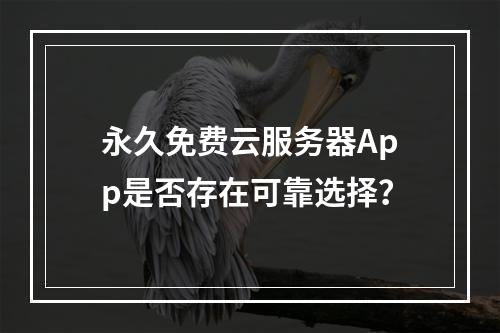 永久免费云服务器App是否存在可靠选择？