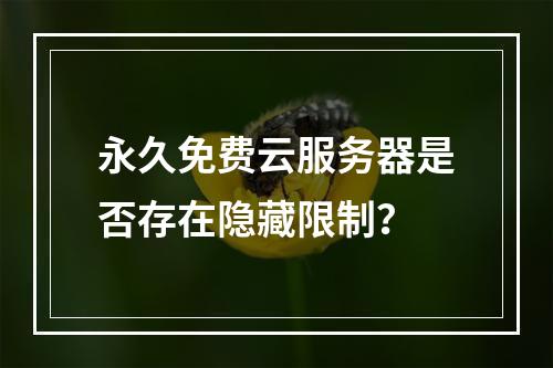 永久免费云服务器是否存在隐藏限制？
